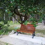 Pineta Nyaraló *