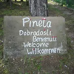 Pineta