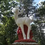 Pineta Gračišče