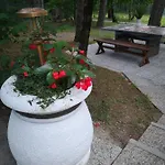 Pineta