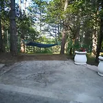 Pineta Gračišče