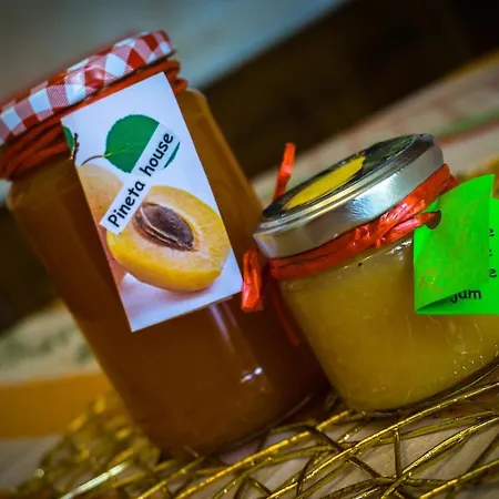 Pineta * Gračišče