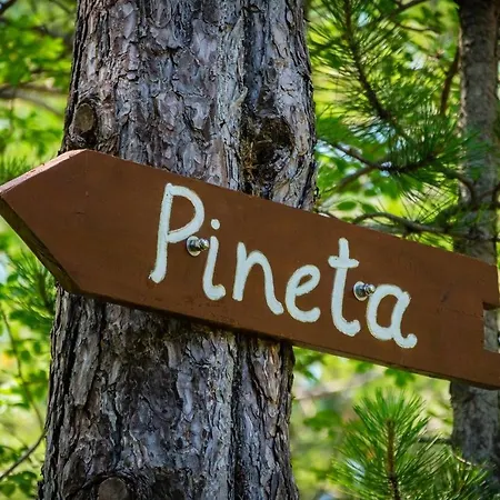 Pineta *