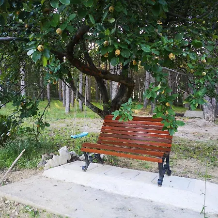 Pineta Prázdninový dům *