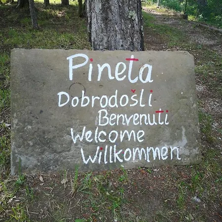 Pineta