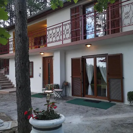 Pineta Gračišče