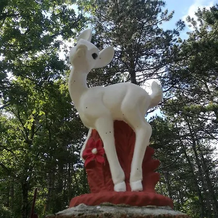 Pineta Gračišče