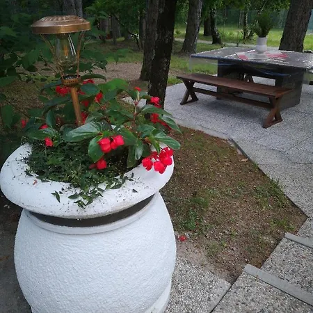 Pineta