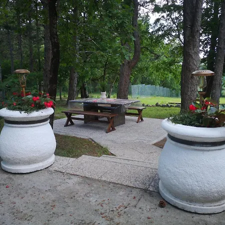 Pineta Tatil Evi Gračišče