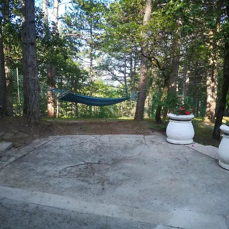 Pineta Gračišče