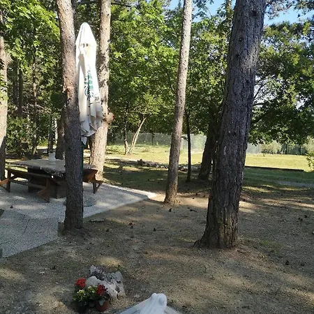 Pineta * Gračišče