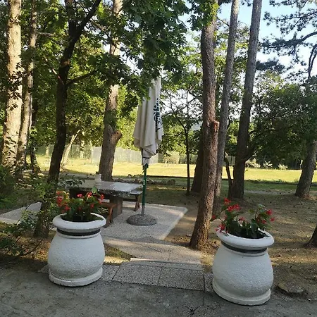 Pineta בית נופש Gračišče