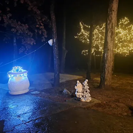 Pineta Gračišče