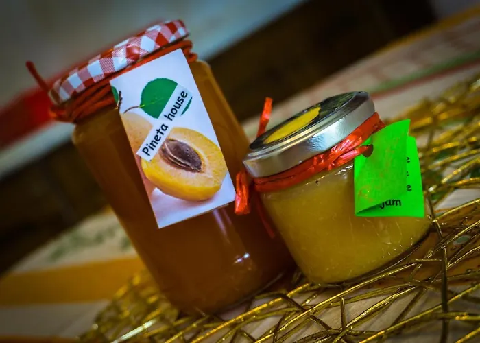 Pineta * Gračišče