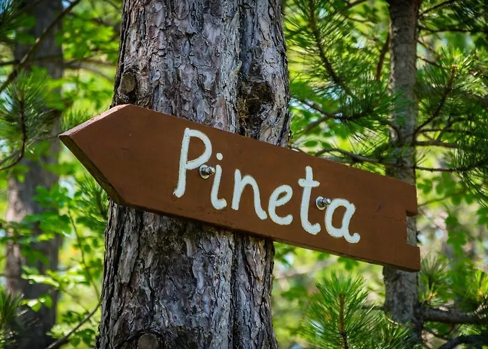 Pineta *