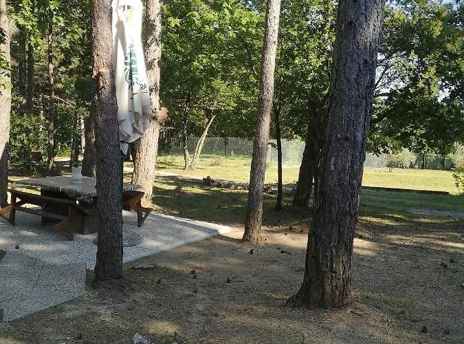 Pineta * Gračišče